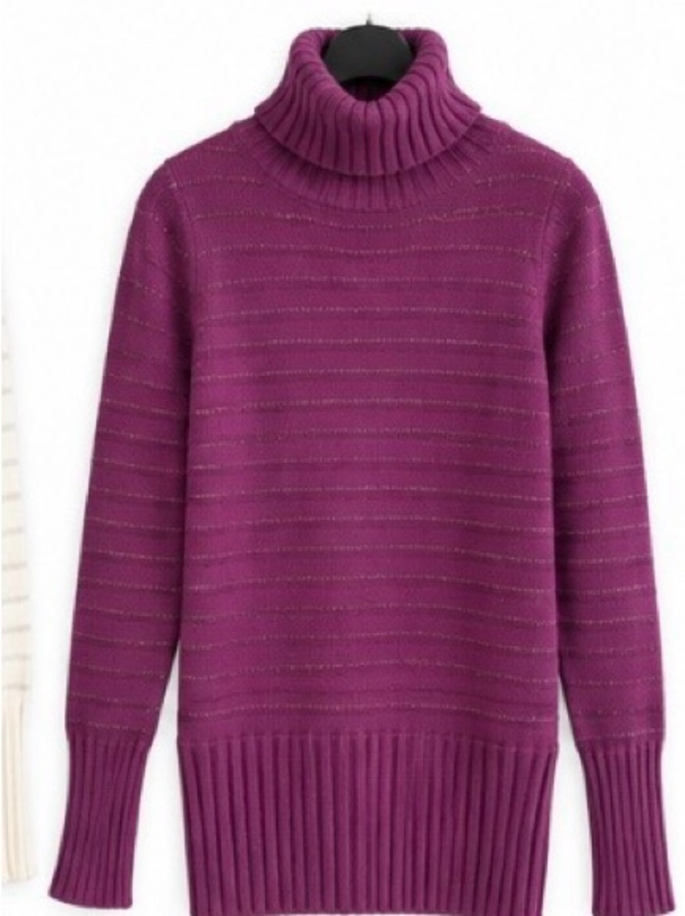 Purple Turtleneck Ribbed Hem Sweater - Women
